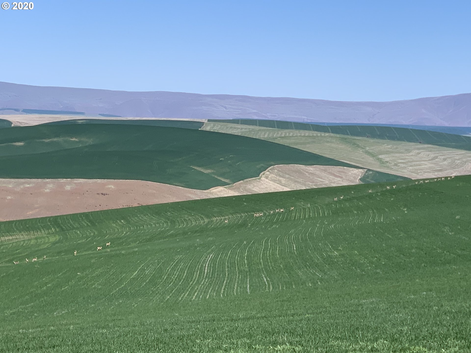 3525 Fax Road The Dalles, OR 97058 - Photo 3 of 4 Gallery Image 3