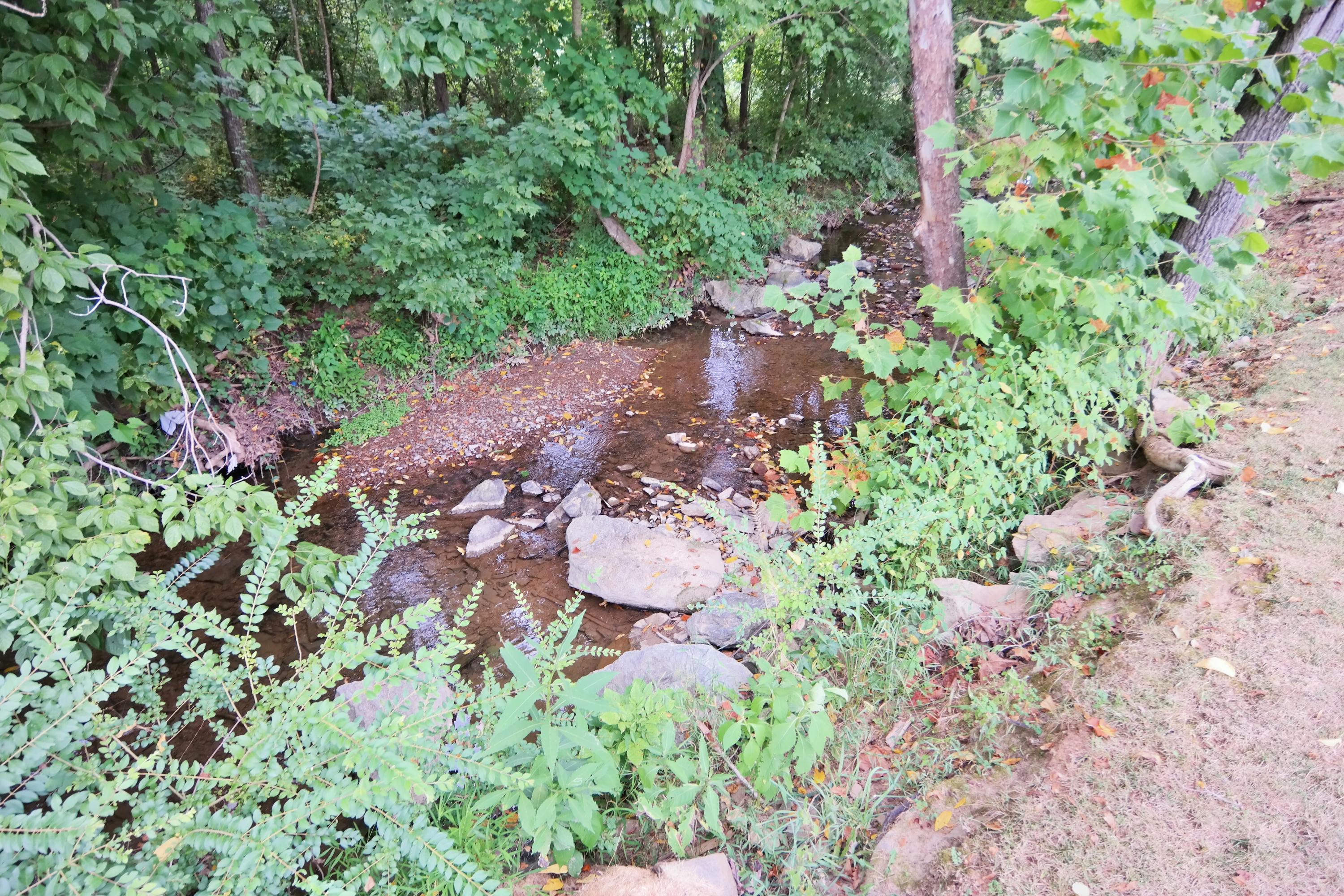 2832 Green Ridge Road Northwest Roanoke, VA 24019 - Photo 24 of 25 Creek At Rear of Property