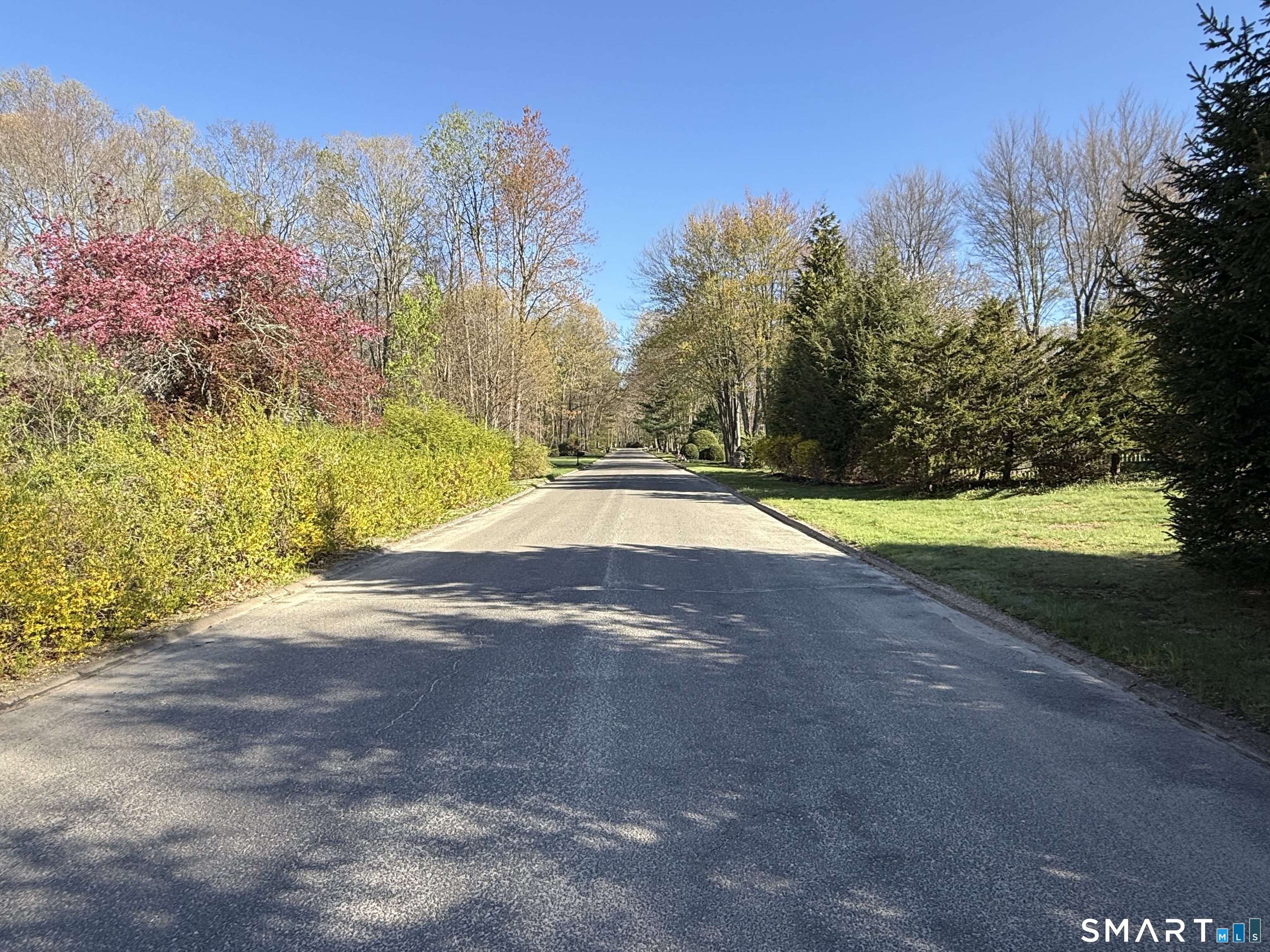 86 Quail Run Road Woodbury, CT 06798 - Photo 18 of 24 View on way up Quail Run
