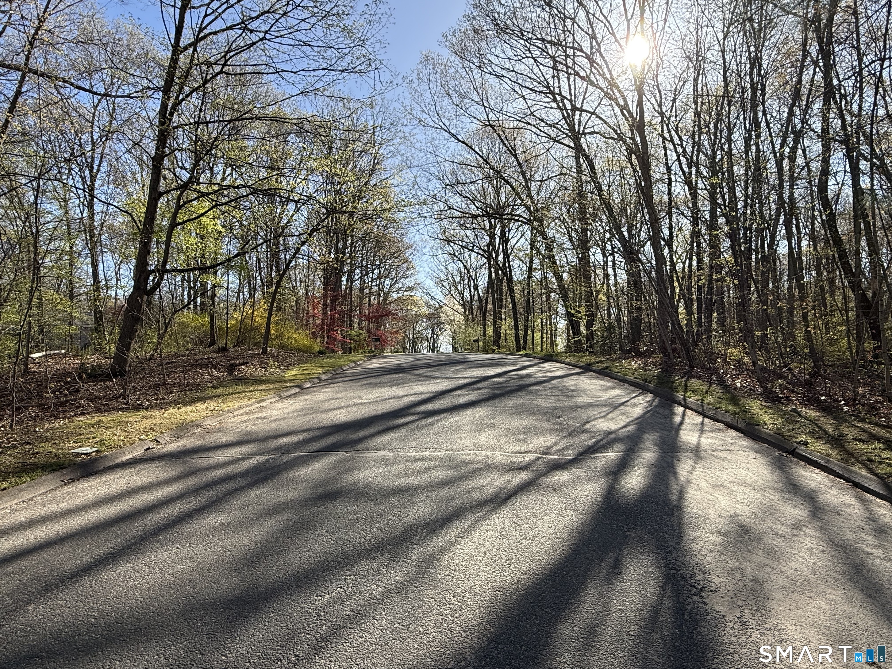 86 Quail Run Road Woodbury, CT 06798 - Photo 19 of 24 View on way up Quail Run
