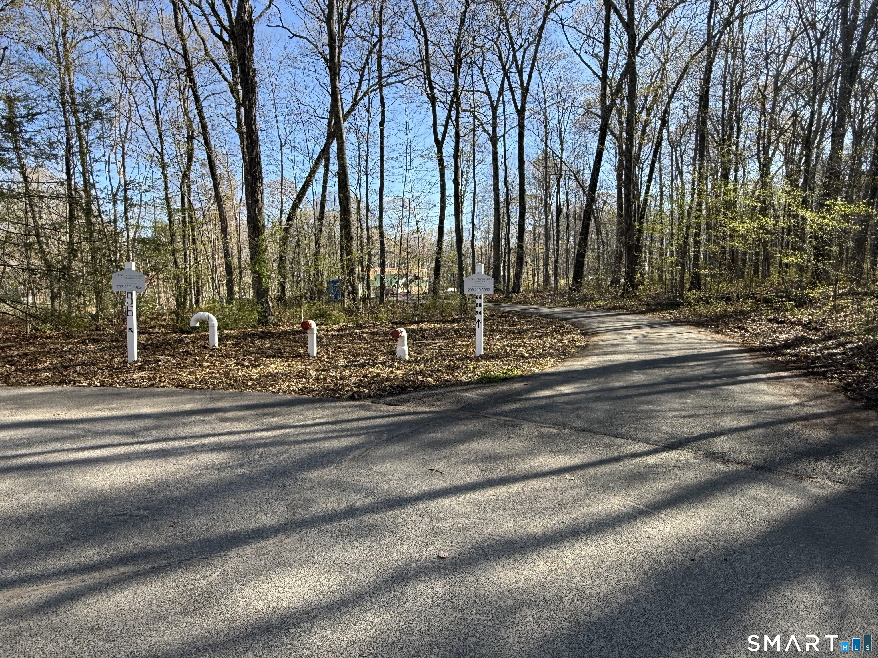 86 Quail Run Road Woodbury, CT 06798 - Photo 21 of 24 View of shared driveway at cul de sac