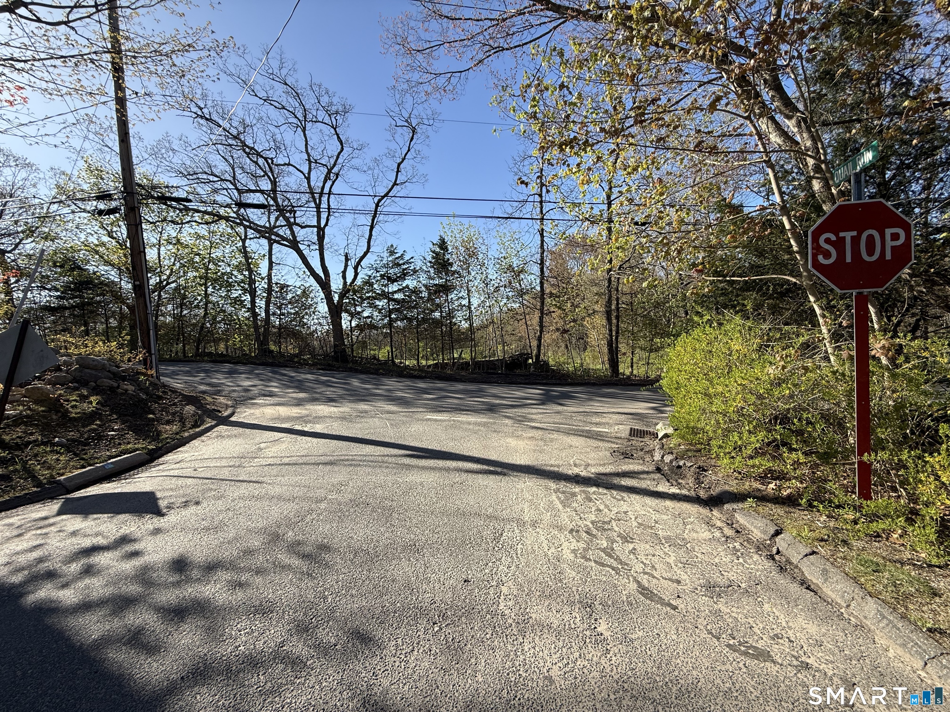 86 Quail Run Road Woodbury, CT 06798 - Photo 22 of 24 View as you leave Quail Run