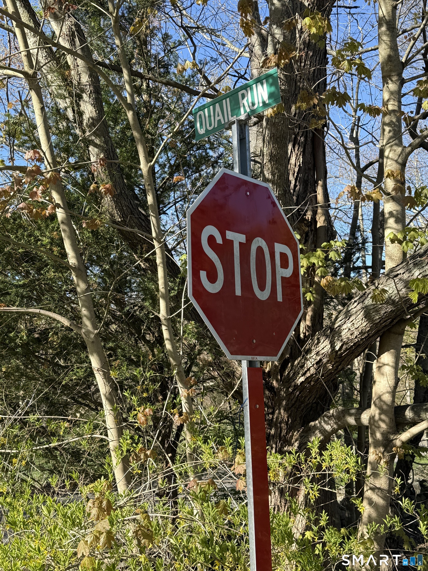 86 Quail Run Road Woodbury, CT 06798 - Photo 24 of 24 You should stop and check it out!