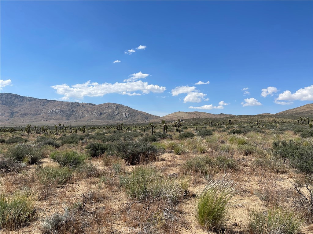 15310023 Kelso Valley Road Weldon, CA 93283 - Photo 3 of 7 a view of a city
