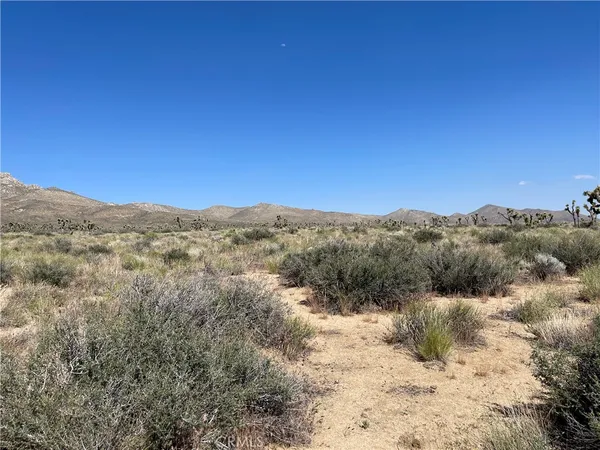 a view of a dry yard with mountains in the background