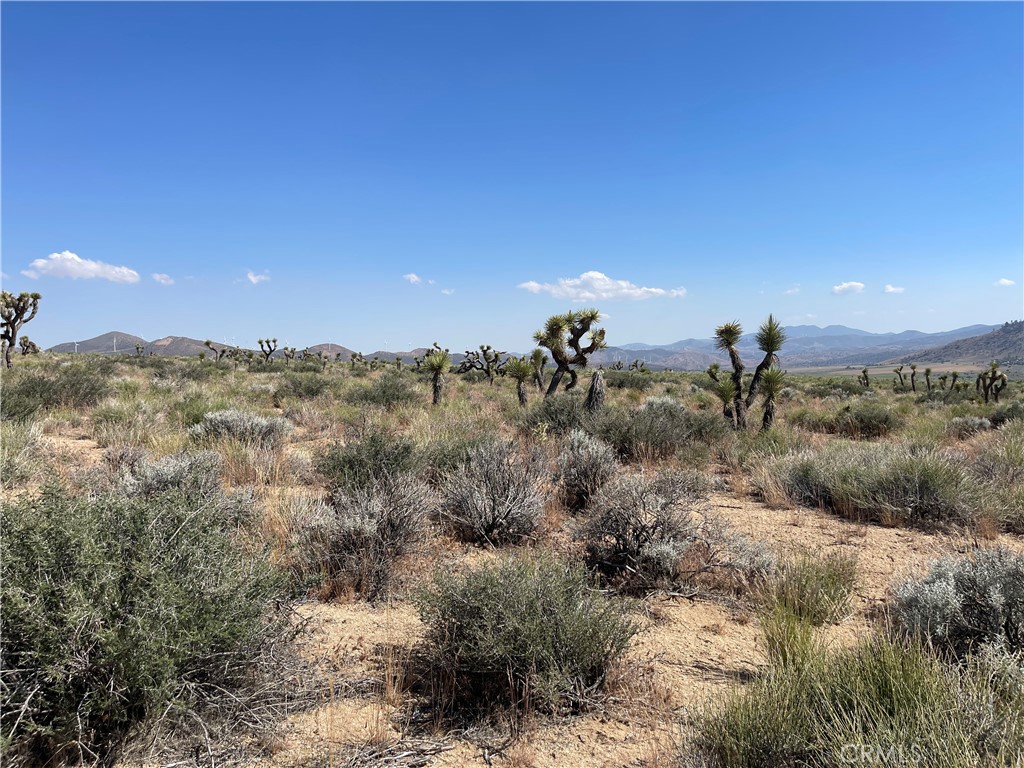 15310023 Kelso Valley Road Weldon, CA 93283 - Photo 6 of 7 a view of a city