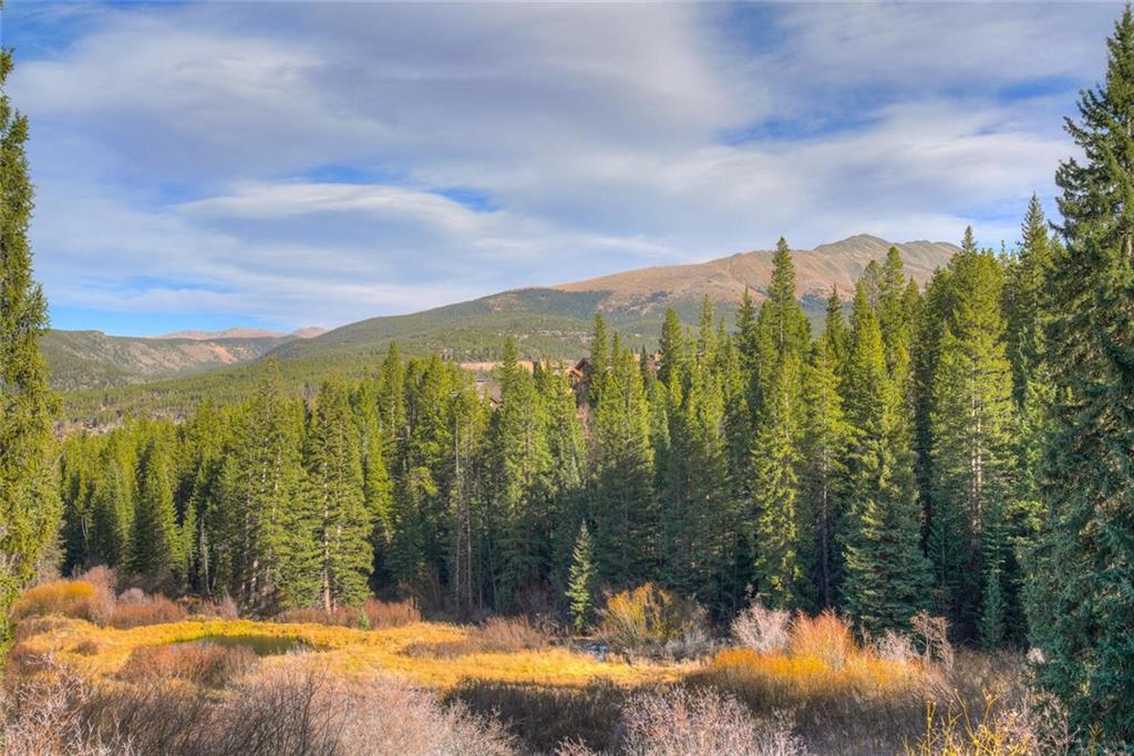 1065 4 O Clock Road Breckenridge, CO 80424 - Photo 35 of 35 a view of a lake from a yard