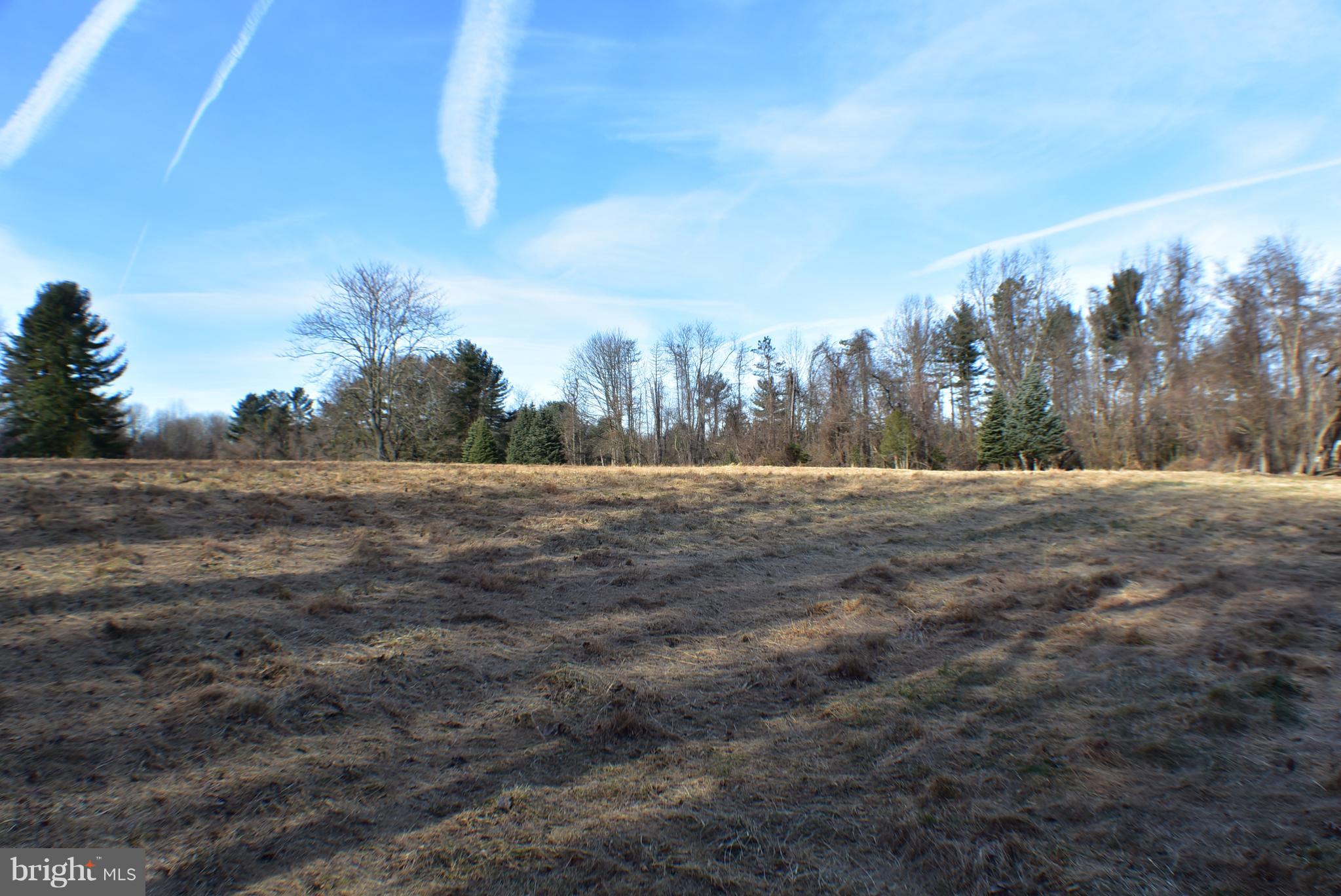 beautiful open lot