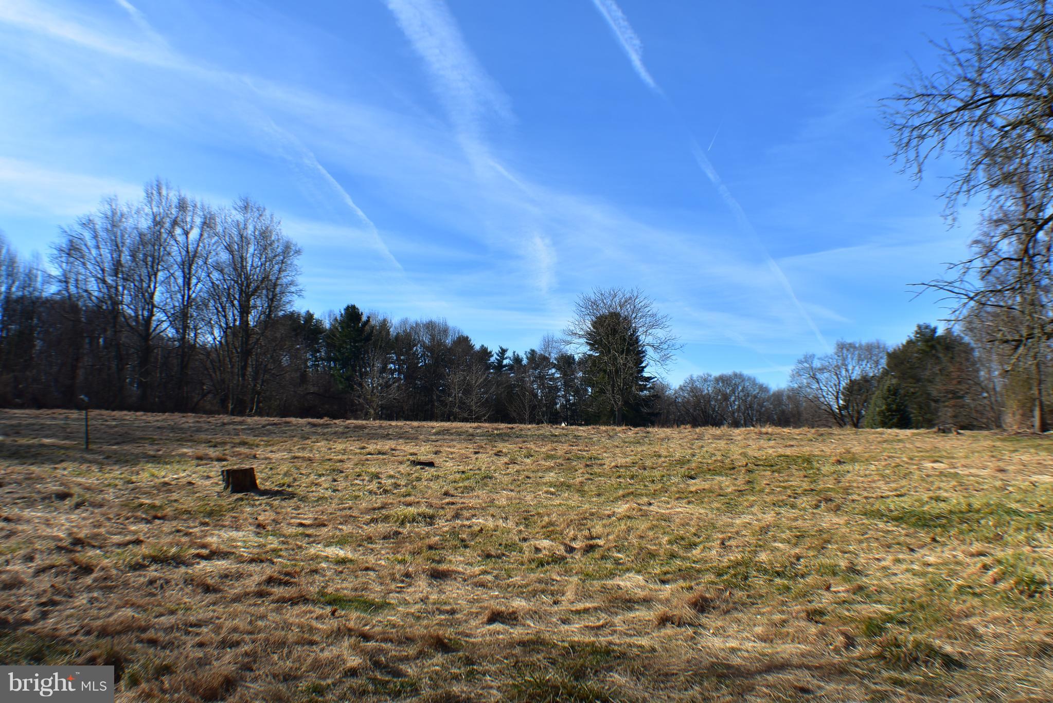 view from location of proposed home