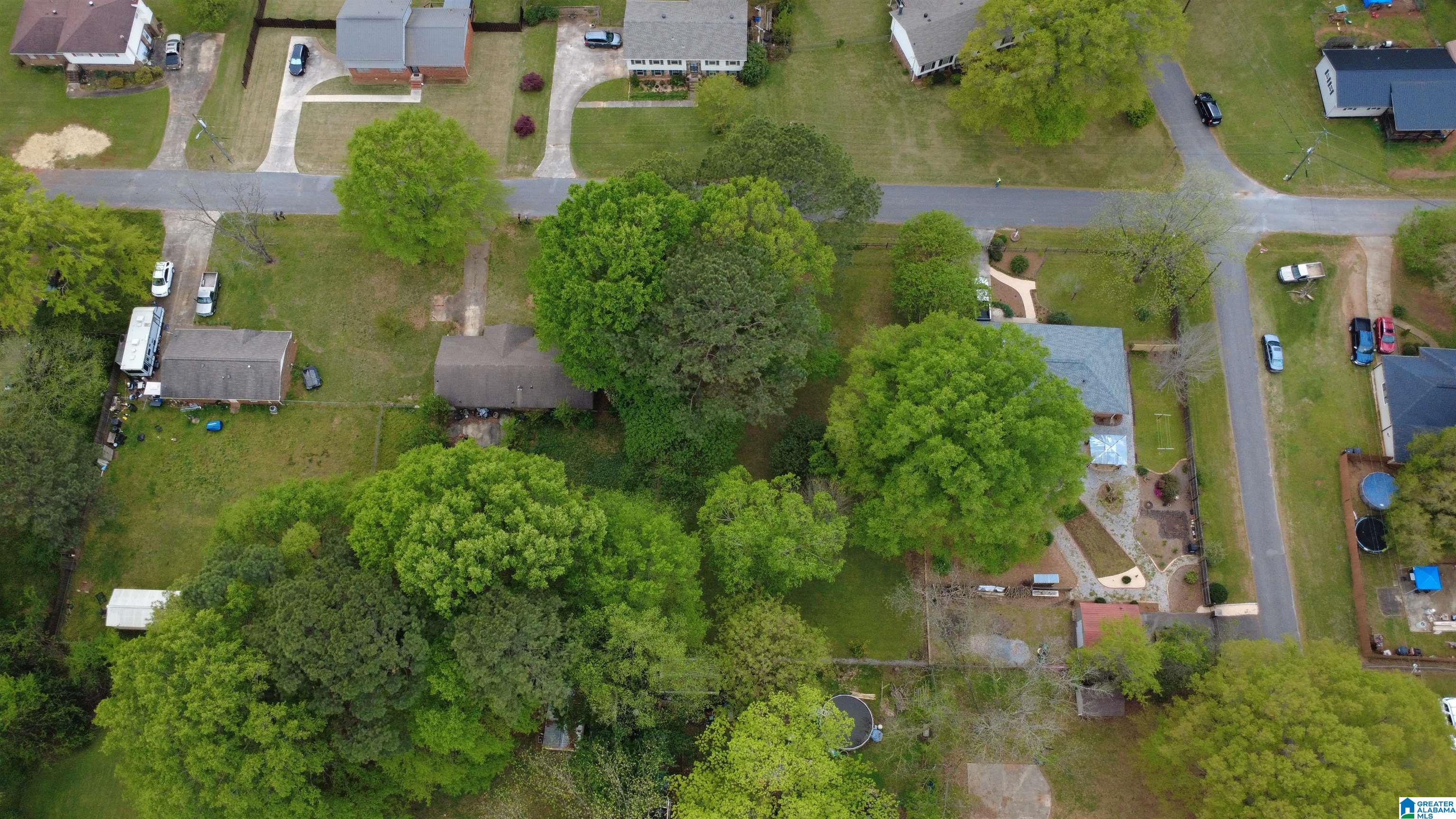 0 Strother Street Montevallo, AL 35115 - Photo 7 of 25