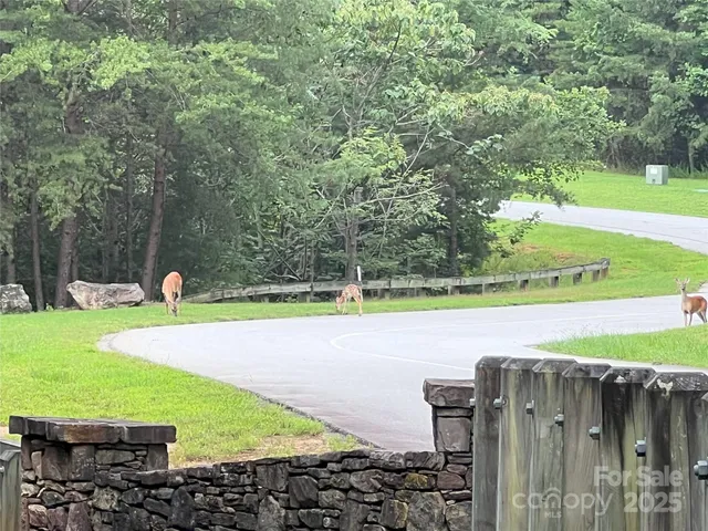 a view of a golf course with a park