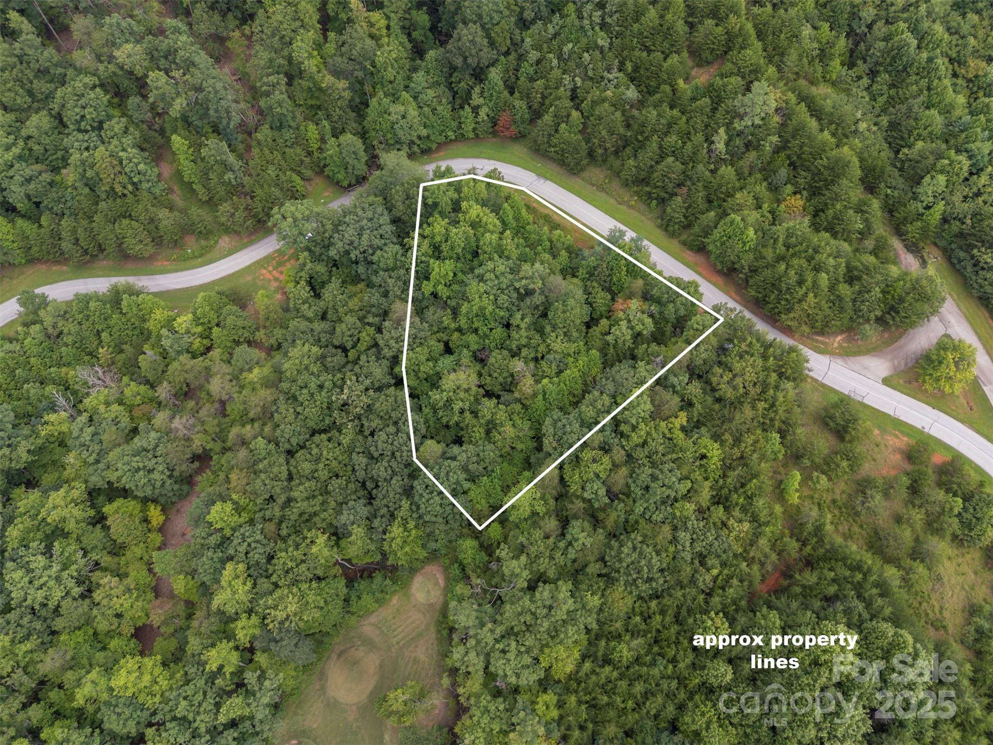 0 Deep Gap Rd Mill Spring East, Unit 97 Mill Spring, NC 28756 - Photo 13 of 22 a view of a yard from a balcony