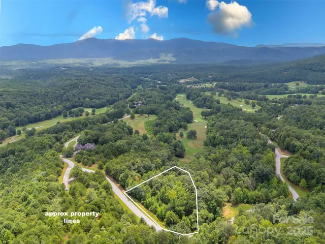 a view of a yard with a lake