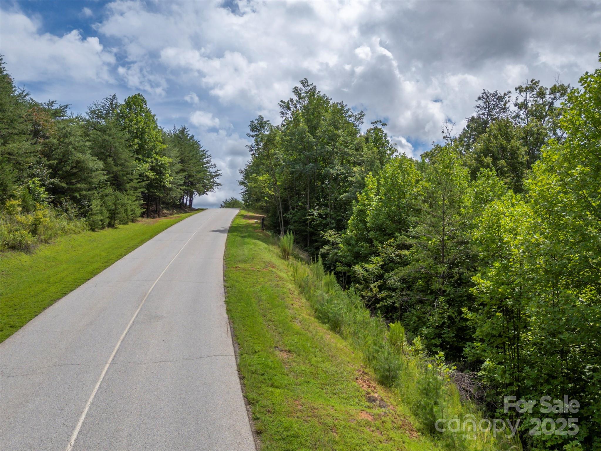 0 Deep Gap Rd Mill Spring East, Unit 97 Mill Spring, NC 28756 - Photo 2 of 22 a view of a lake with a yard
