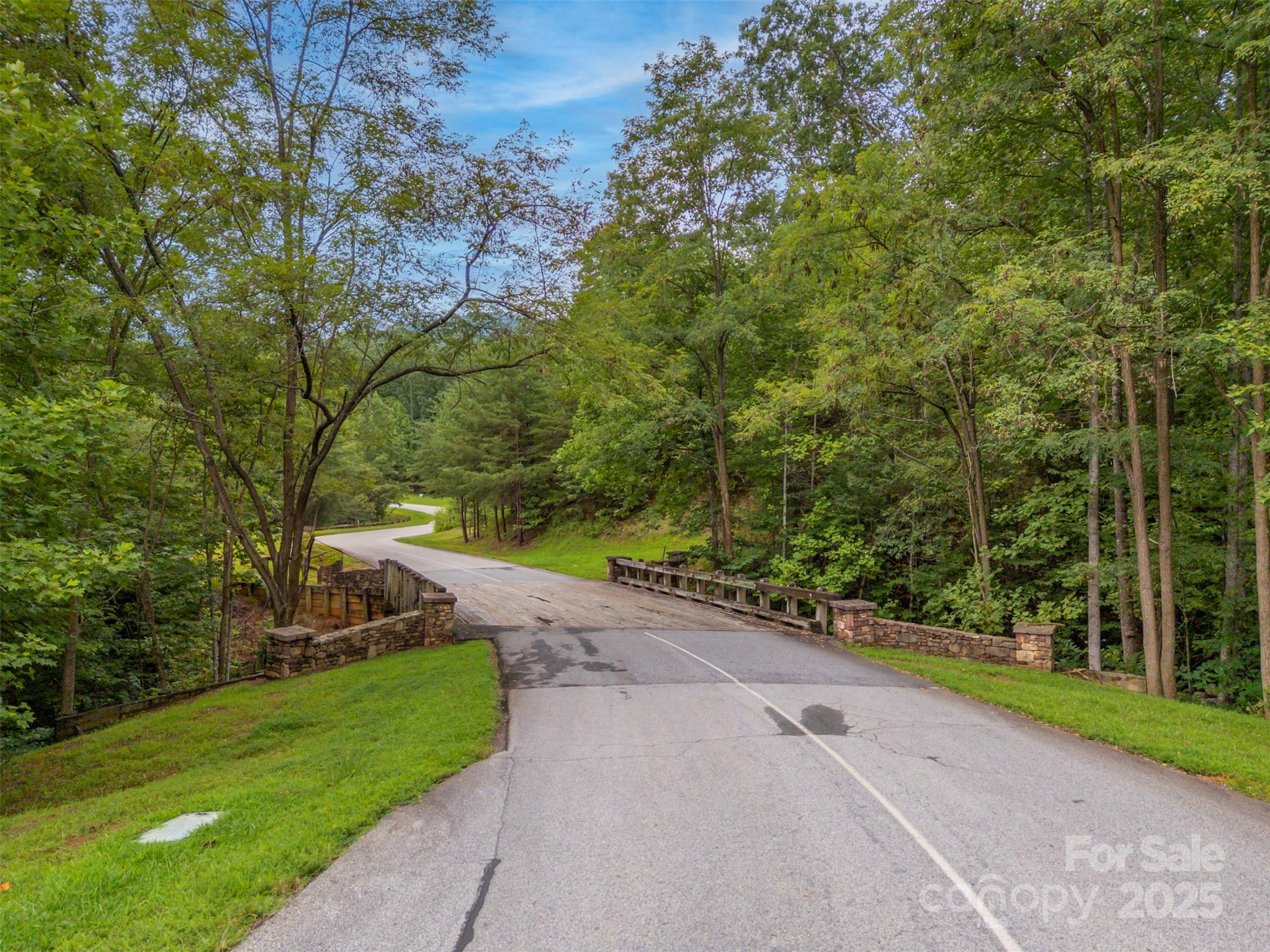 0 Deep Gap Rd Mill Spring East, Unit 97 Mill Spring, NC 28756 - Photo 3 of 22 a view of a street with a yard and a large tree