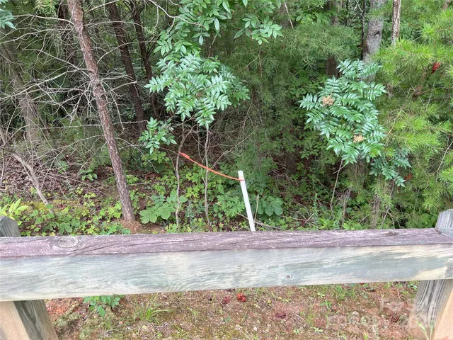 a view of a yard with plants and trees