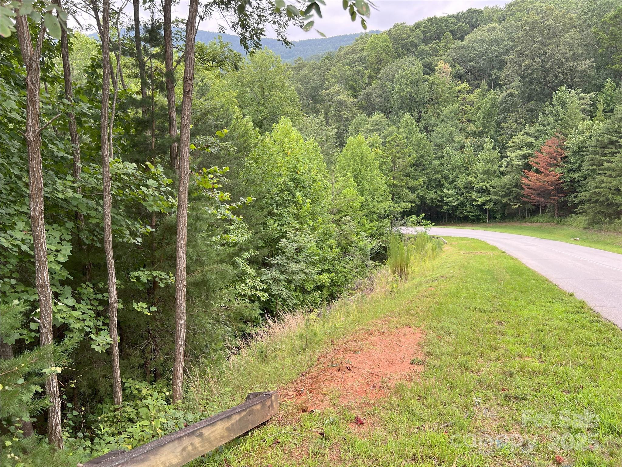 0 Deep Gap Rd Mill Spring East, Unit 97 Mill Spring, NC 28756 - Photo 5 of 22 a view of an outdoor space and a yard