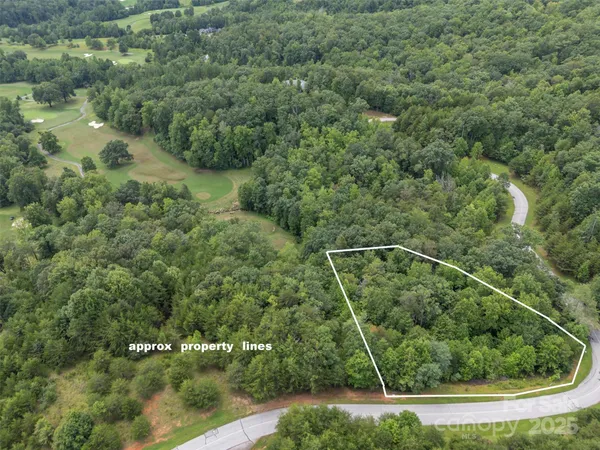 a view of a forest with a street
