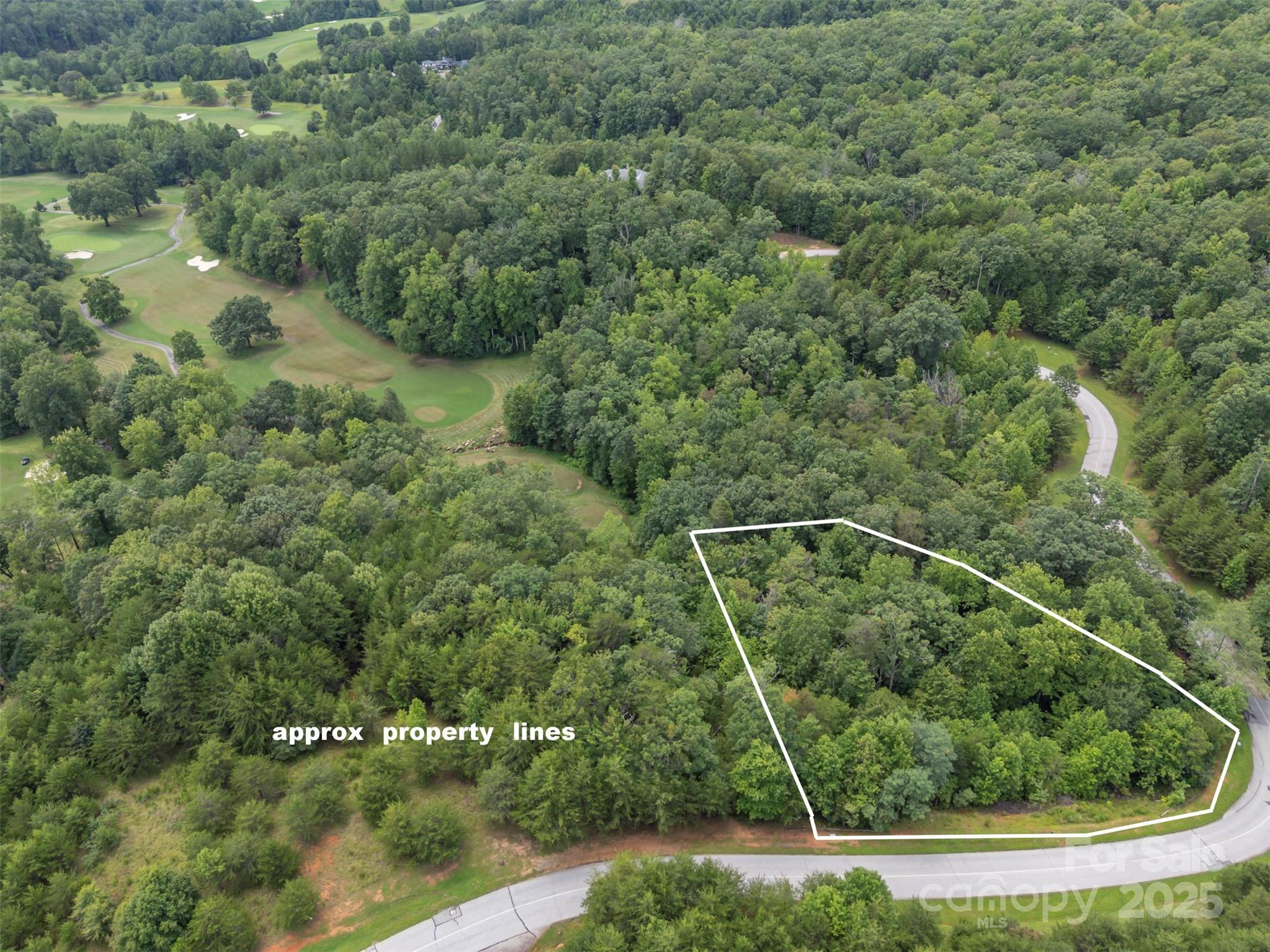 0 Deep Gap Rd Mill Spring East, Unit 97 Mill Spring, NC 28756 - Photo 8 of 22 a view of a forest with a street