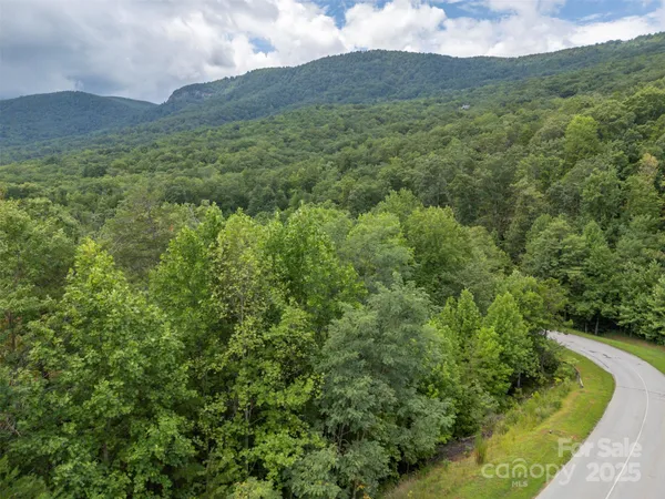 a view of a lush green hillside and a houses