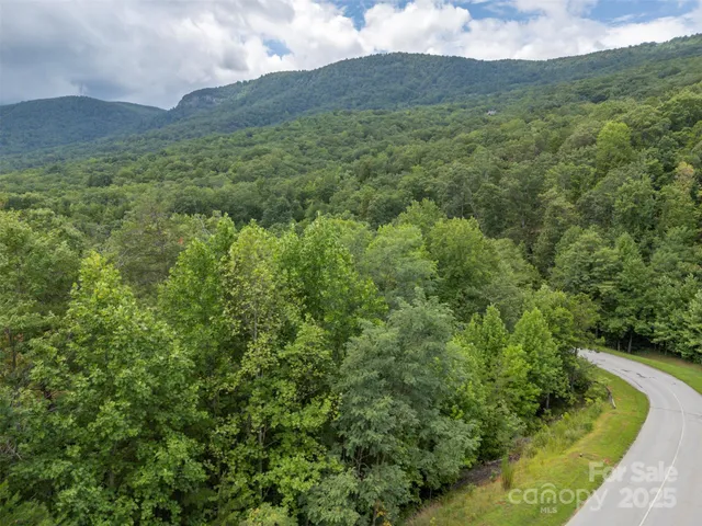 a view of a lush green hillside and a houses
