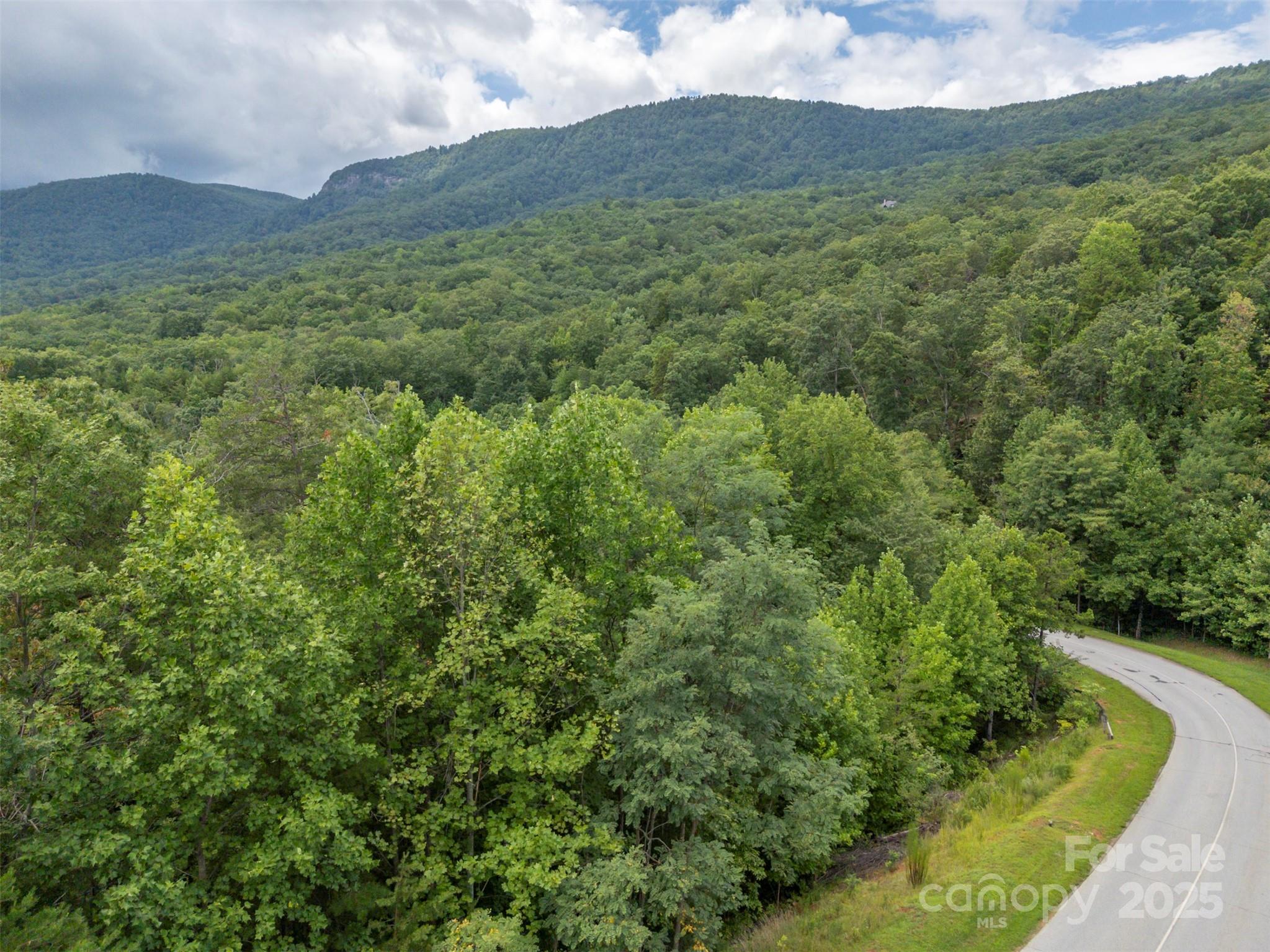 0 Deep Gap Rd Mill Spring East, Unit 97 Mill Spring, NC 28756 - Photo 9 of 22 a view of a lush green hillside and a houses