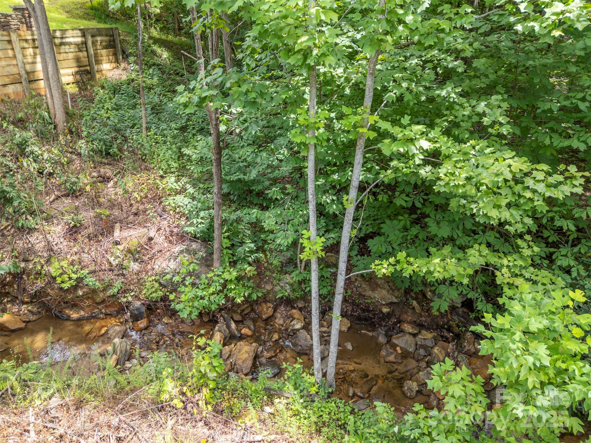 0 Deep Gap Rd Mill Spring East, Unit 97 Mill Spring, NC 28756 - Photo 10 of 22 a view of a plant in a garden