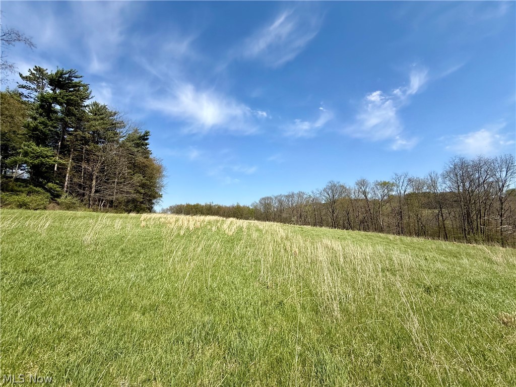 4101 Peace Road Southeast Carrollton, OH 44615 - Photo 17 of 48