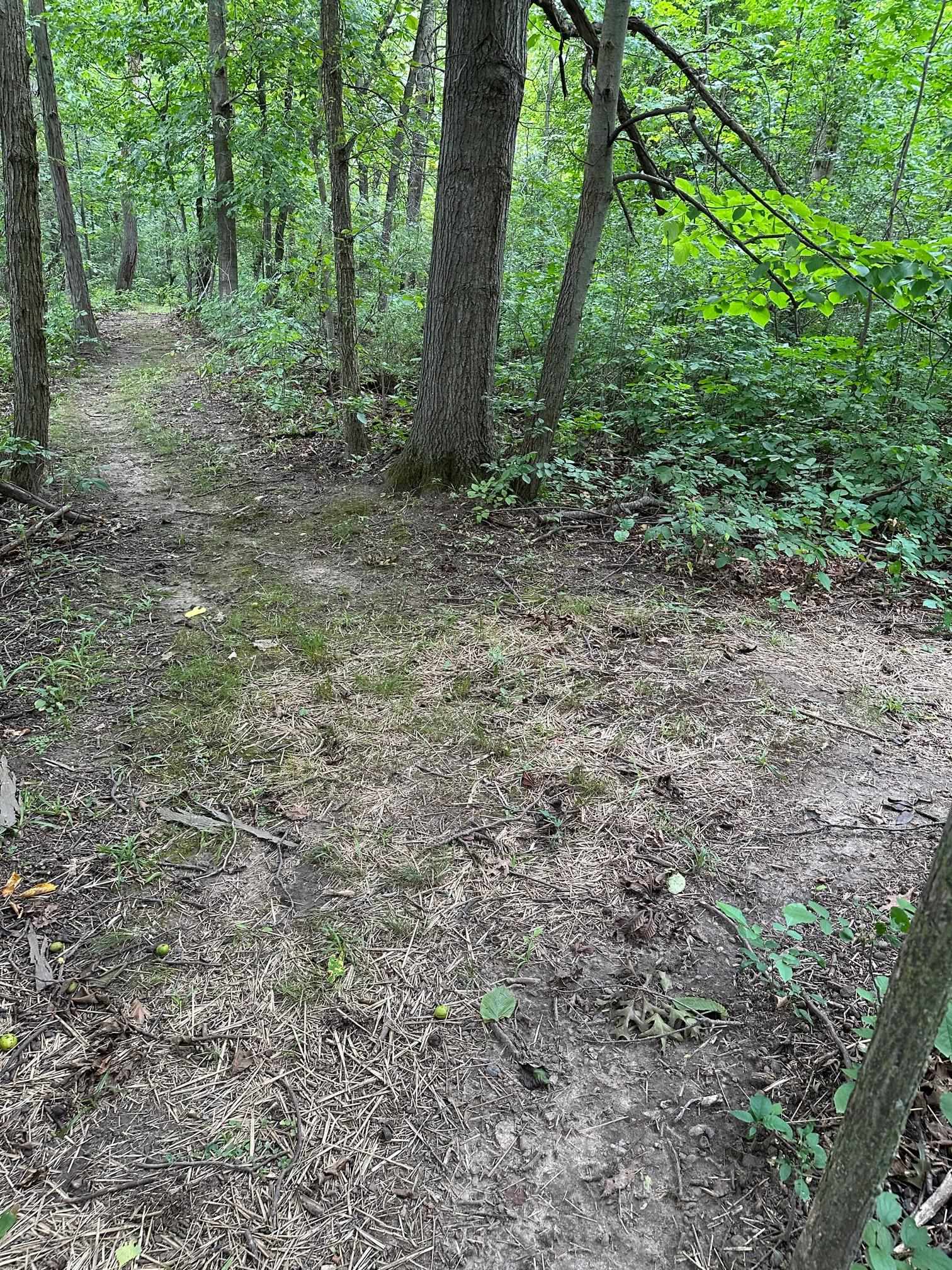 2506 South Oak Road Davison, MI 48423 - Photo 35 of 48 50118638-34.JPG