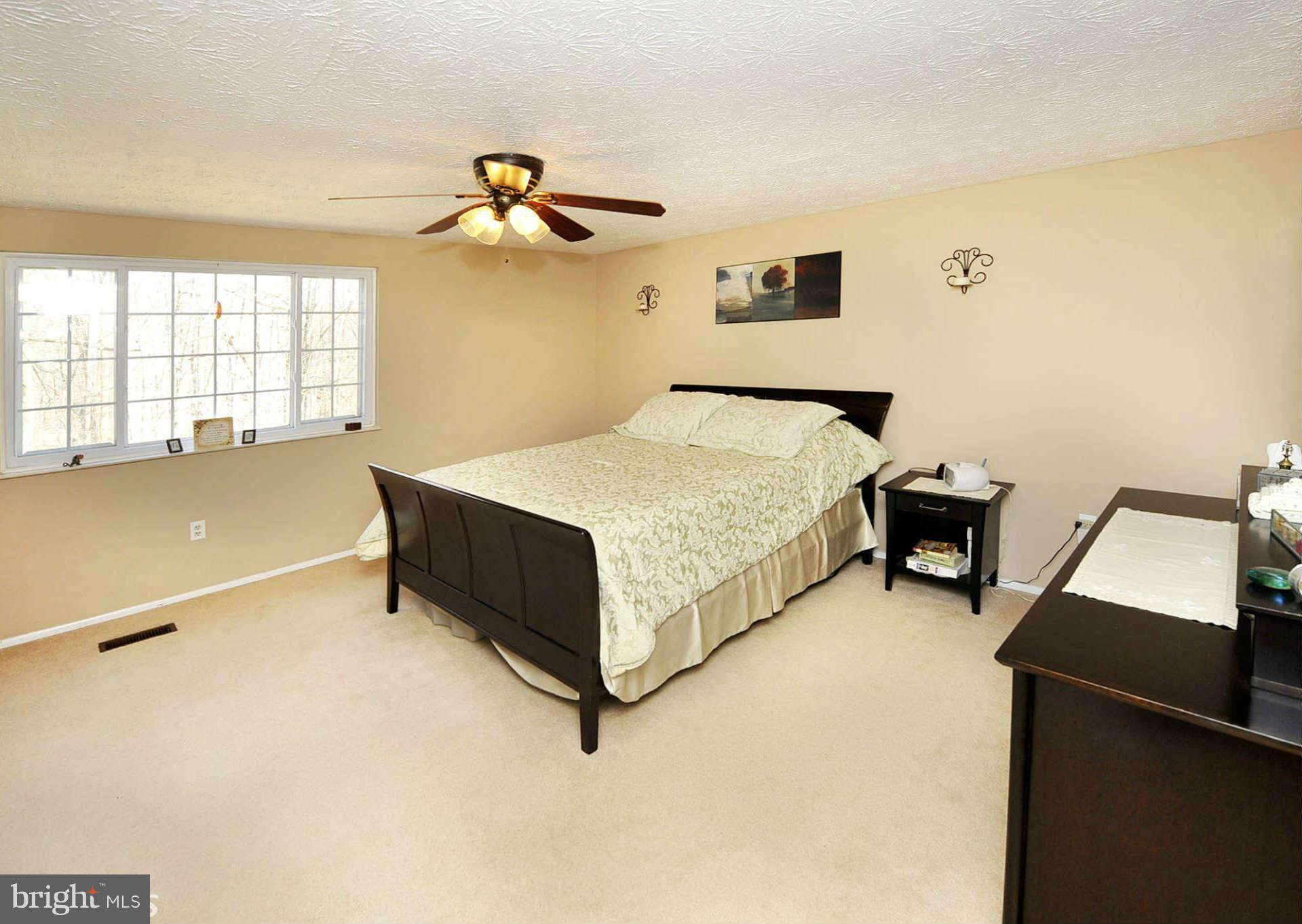 1256 Windmill Lane Silver Spring, MD 20905 - Photo 8 of 16 Bedroom (Master)