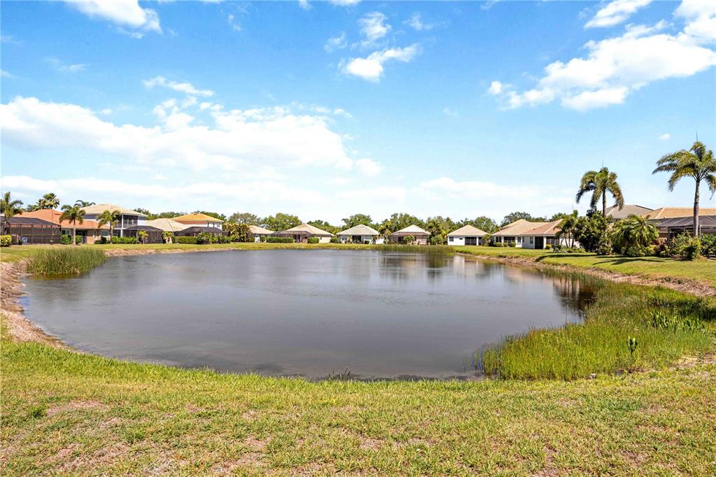 8769 Monterey Bay Loop Bradenton, FL 34212 - Photo 42 of 64 a view of a lake with houses in the background