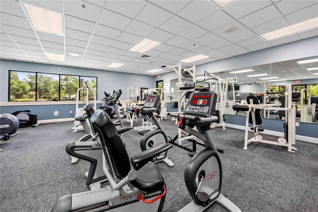 8769 Monterey Bay Loop Bradenton, FL 34212 - Photo 50 of 64 a view of a room with gym equipment