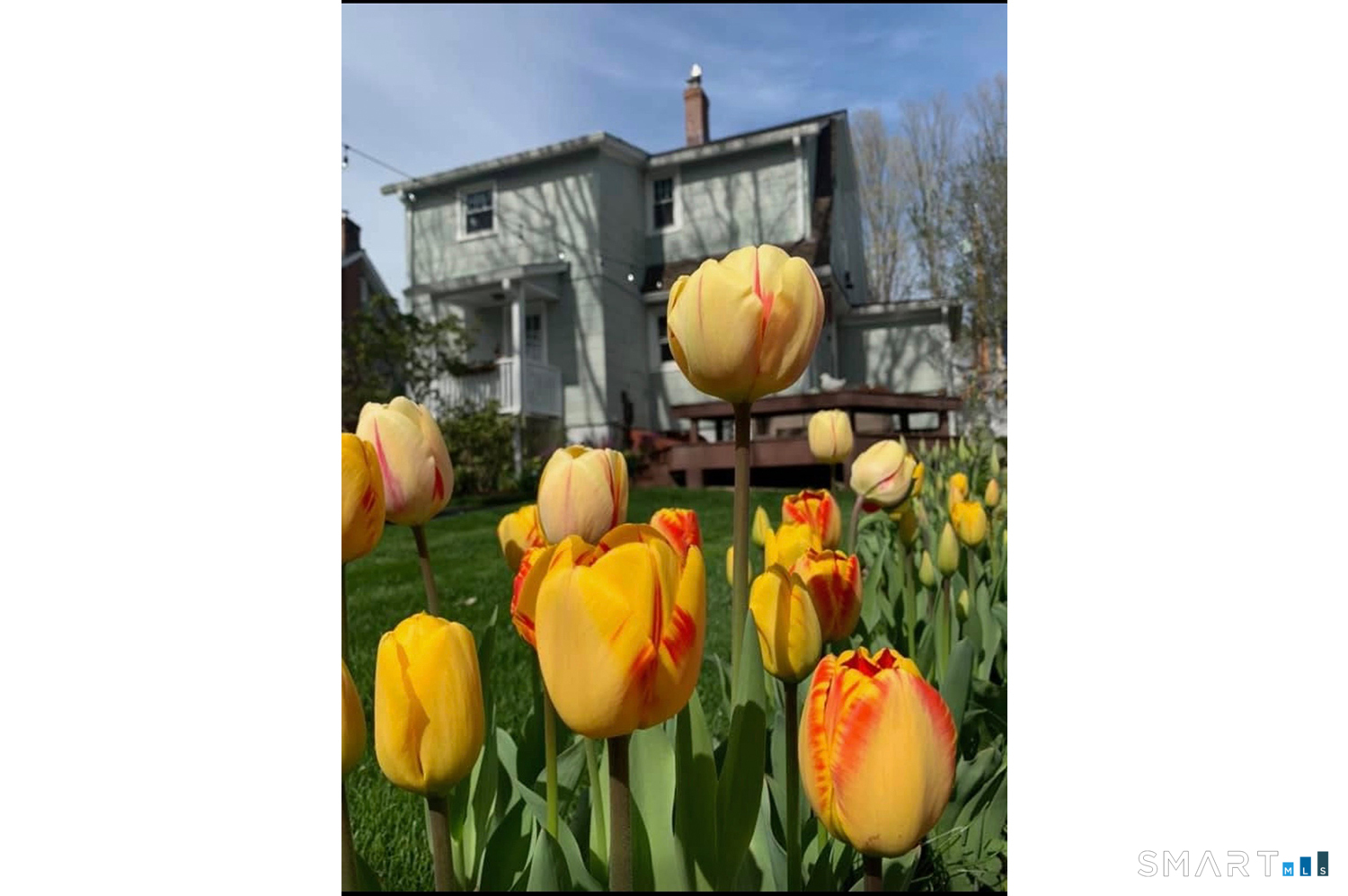 177 Church Hill Road Fairfield, CT 06825 - Photo 12 of 50