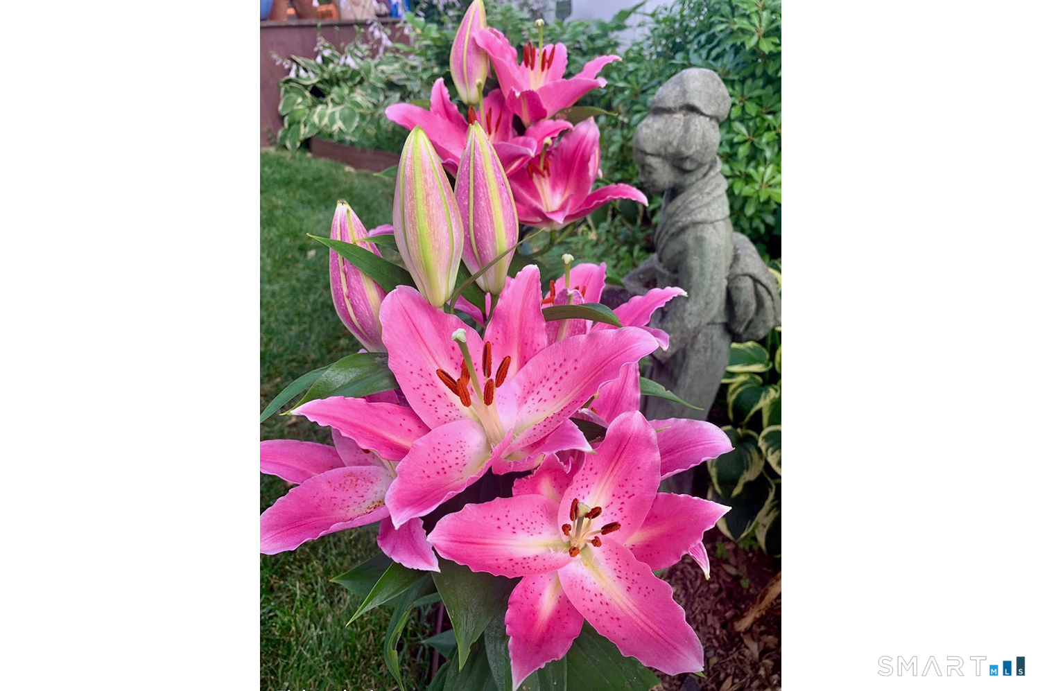 177 Church Hill Road Fairfield, CT 06825 - Photo 50 of 50