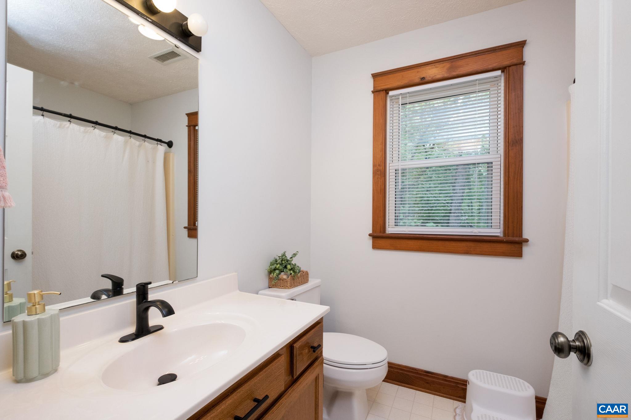 45 Amethyst Road Palmyra, VA 22963 - Photo 18 of 31