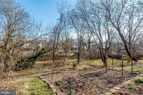 a view of yard with trees