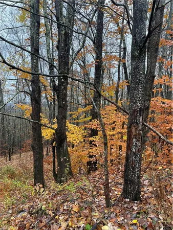 $40,000 | 16 Silver Mine Road, North Blenheim, NY 12131