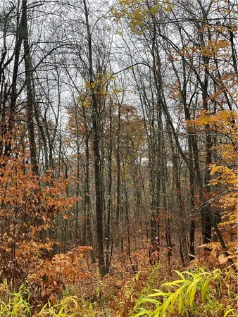 $40,000 | 16 Silver Mine Road, North Blenheim, NY 12131