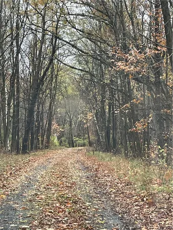 $40,000 | 16 Silver Mine Road, North Blenheim, NY 12131