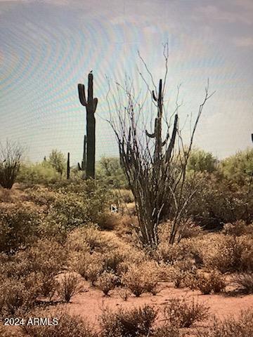 2 East Lone Mountain Road Scottsdale, AZ 85263 - Photo 2 of 3 a backyard of a house with lots of plants and trees