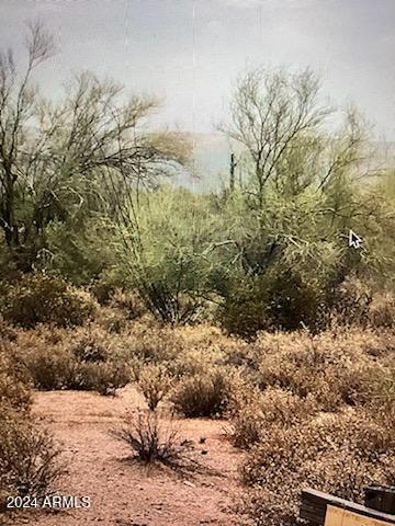 2 East Lone Mountain Road Scottsdale, AZ 85263 - Photo 3 of 3 a view of a yard
