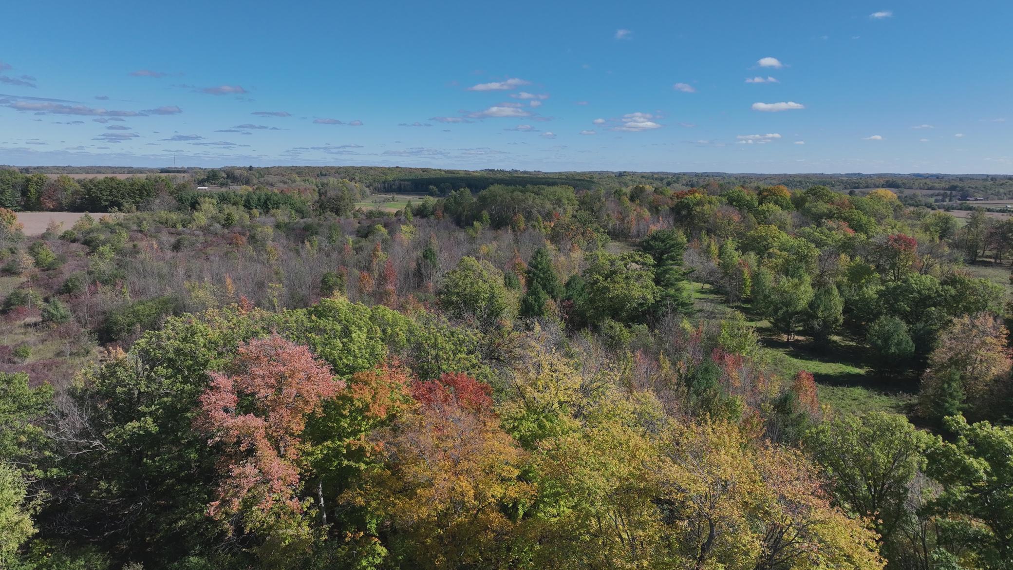 413 County Rd Nn Wilson, WI 54027 - Photo 51 of 62