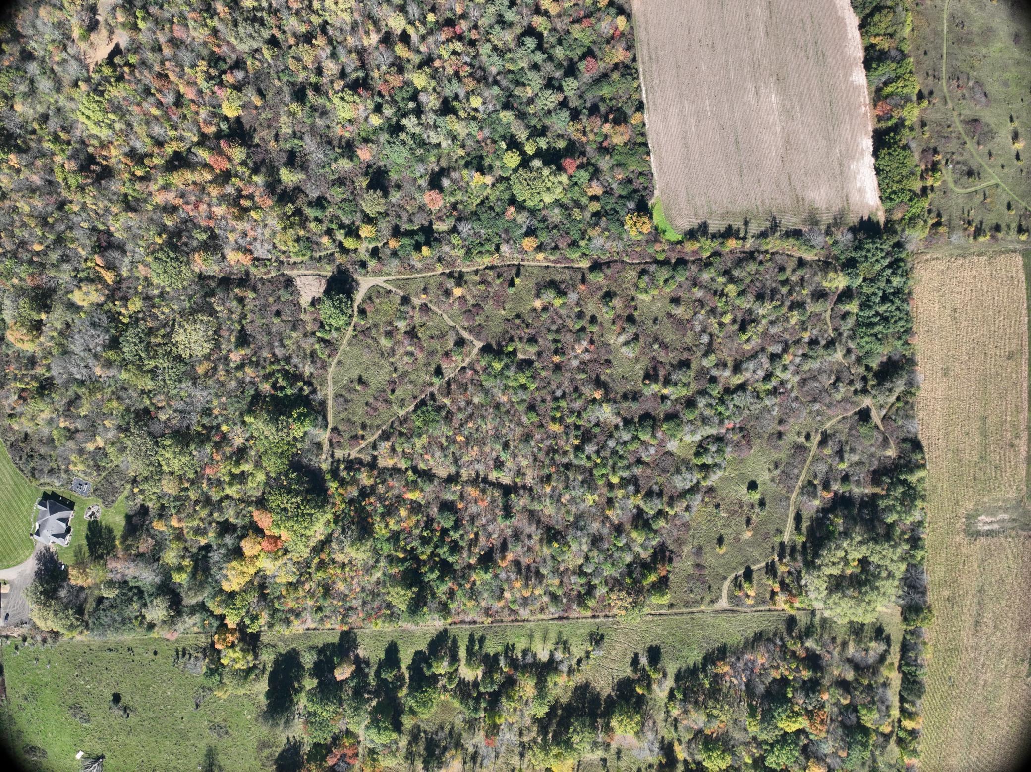 413 County Rd Nn Wilson, WI 54027 - Photo 53 of 62