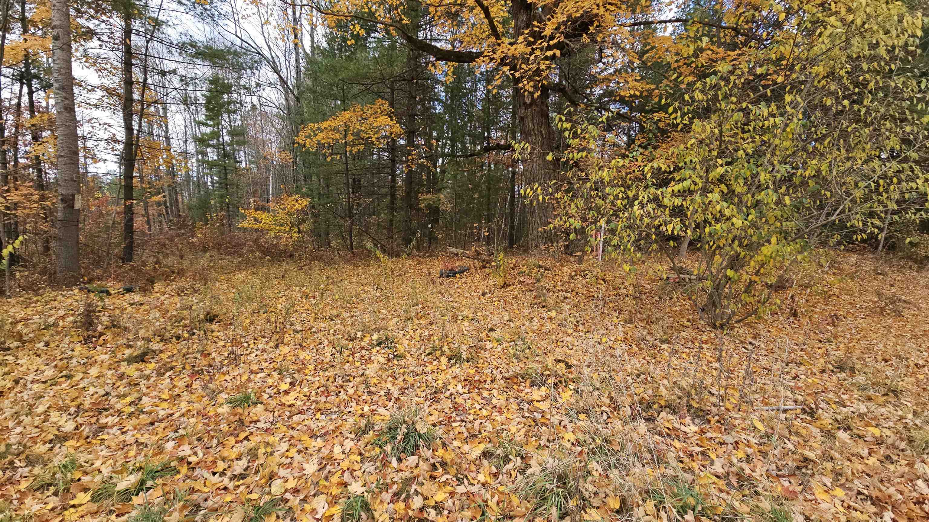 0 South Morrison Road West Branch, MI 48661 - Photo 2 of 9
