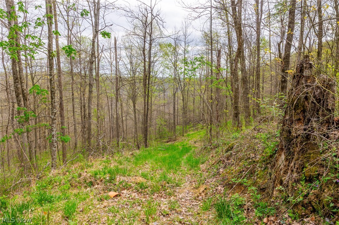 2115 Goss Fork Road, Unit 2 Whipple, OH 45788 - Photo 10 of 23