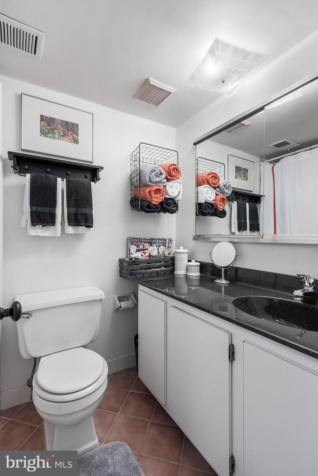 100 Rutgers Avenue, Unit 12 Swarthmore, PA 19081 - Photo 17 of 22 Renovated Bathroom