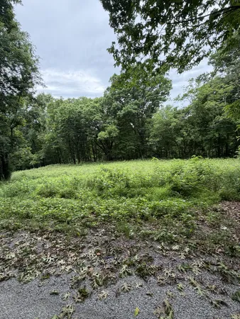 $59,900 | 1299 Dixon Town Road, Ardmore, TN 38449