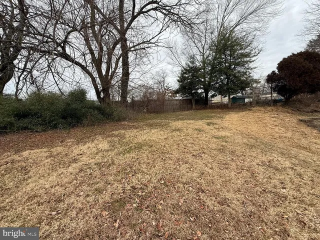 a view of backyard with green space