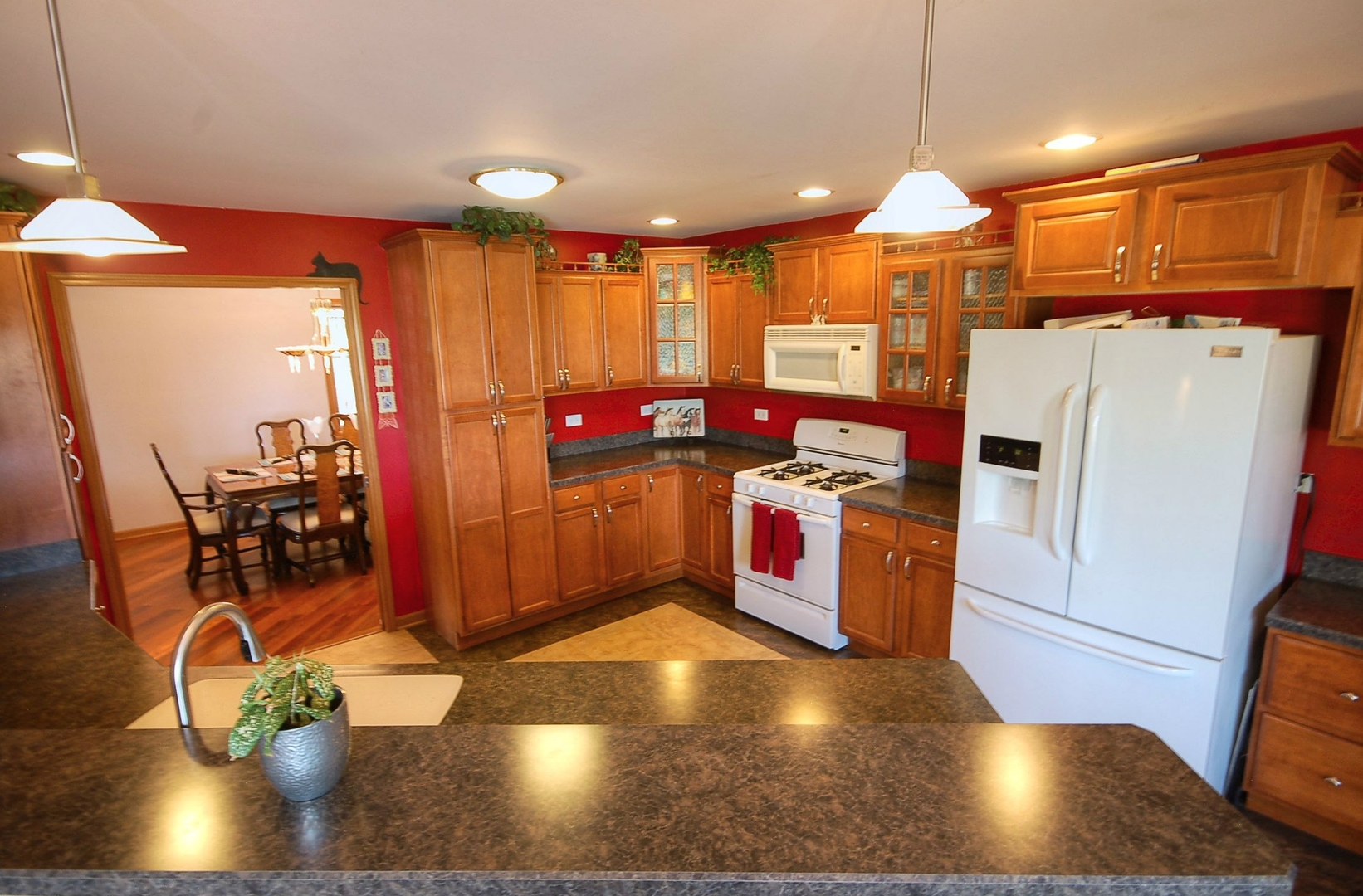 1204 West County Line Road Beecher, IL 60401 - Photo 7 of 37