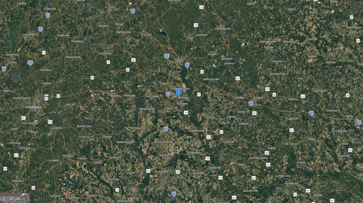 236 Tidwell Road Bonaire, GA 31005 - Photo 6 of 6 a view of a tree